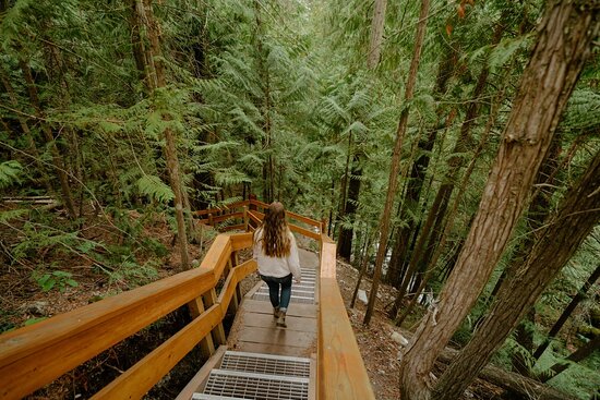 BX Creek Falls Trail
